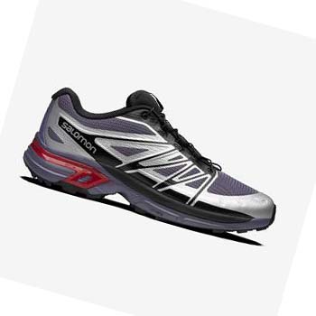 Tenis Salomon XT-WINGS 2 Hombre Plateados | MX 3411AHK